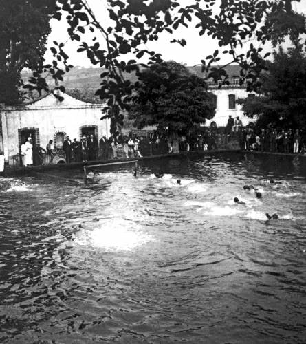 La bassa de Ca la Paula - CEDIDA La bassa de Ca la Paula