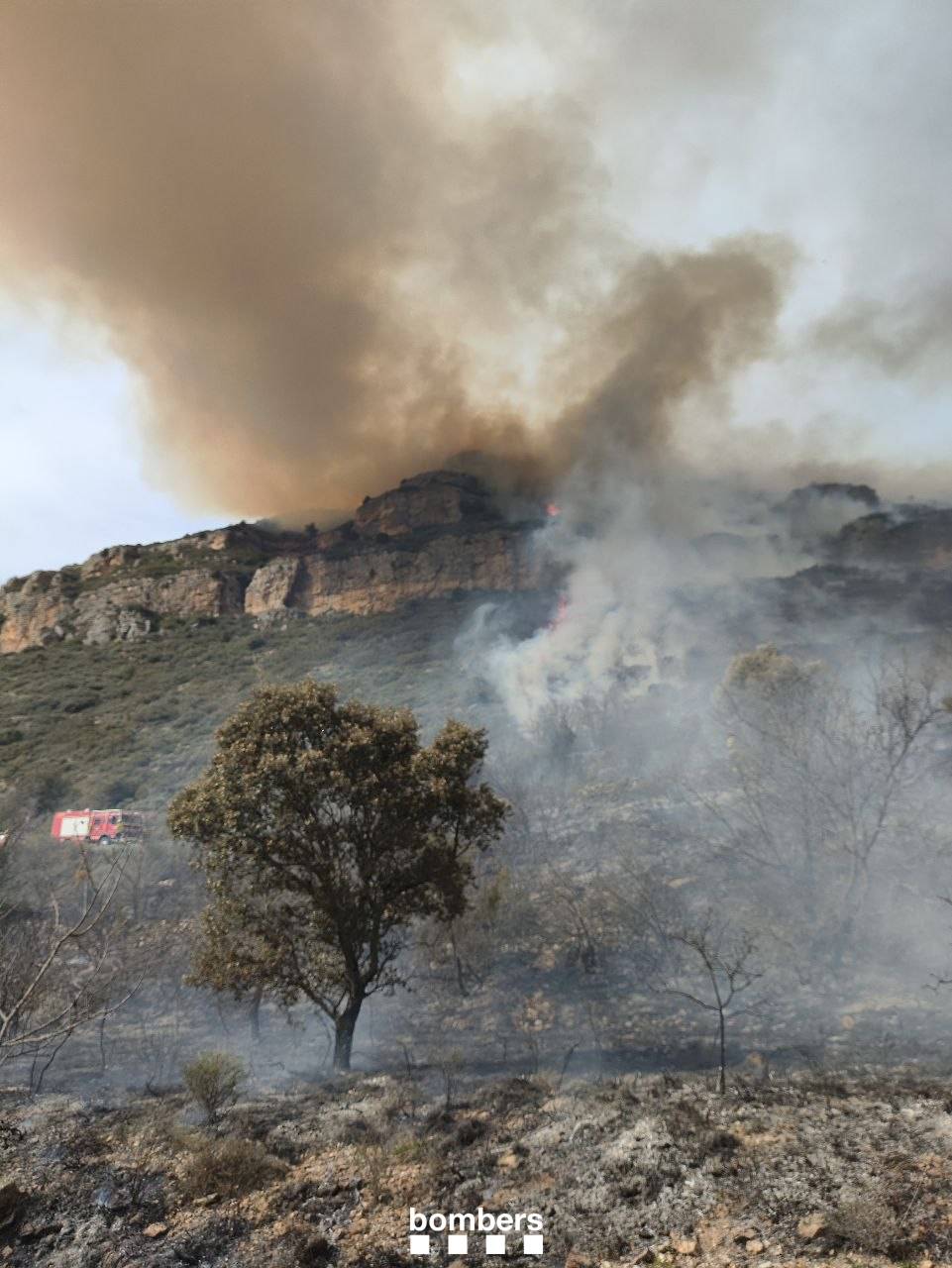 Els Bombers treballen en un incendi forestal a Llimiana