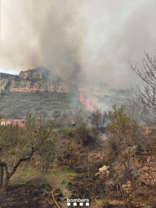 Els Mossos d'Esquadra detenen dos piròmans relacionats amb quatre incendis al Baix Camp