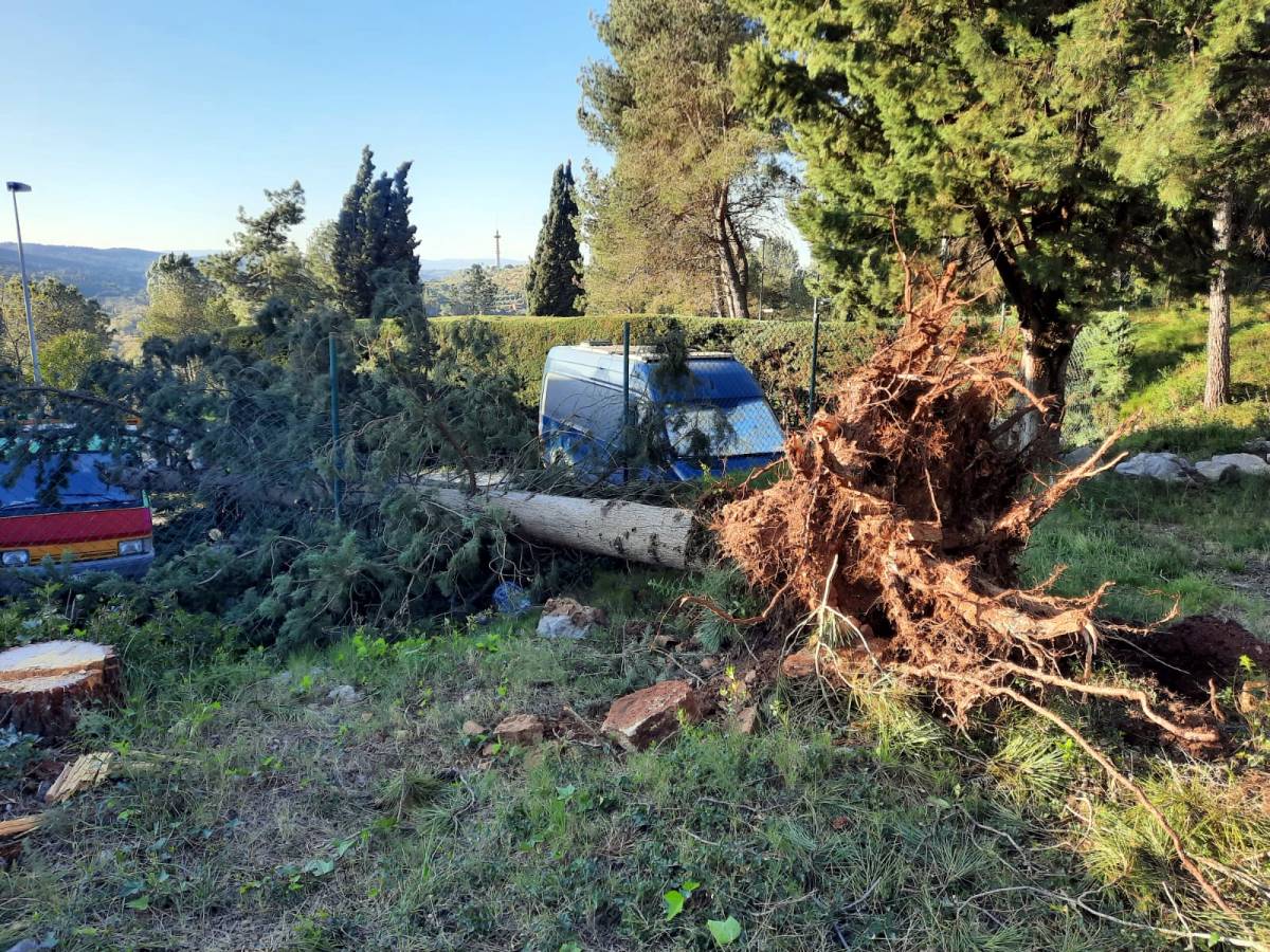 Ventada: ratxes de fins a 160 km/h i carreteres tallades