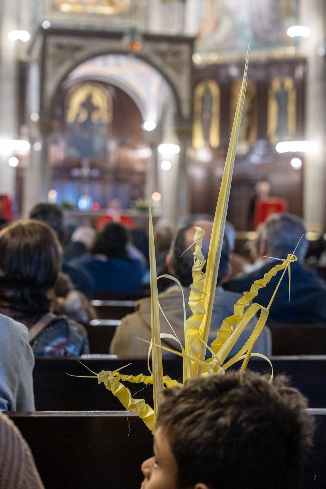 Diumenge de Rams al Santuari de la Mare de Déu de la Salut - JUANMA PELÁEZ