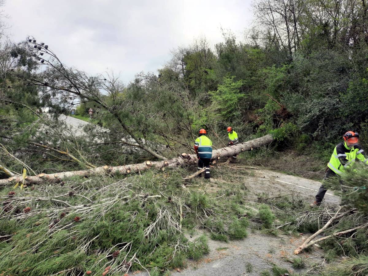 Quatre ferits per les ventades d'aquest diumenge a dos càmpings a Camarasa i a Platja d'Aro