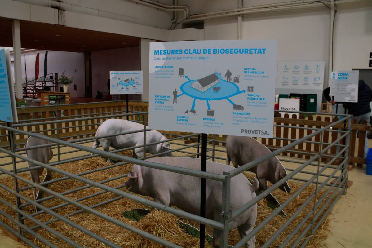 Èxit de visitants al Mercat del Ram de Vic tot i l'absència de porcs i vaques