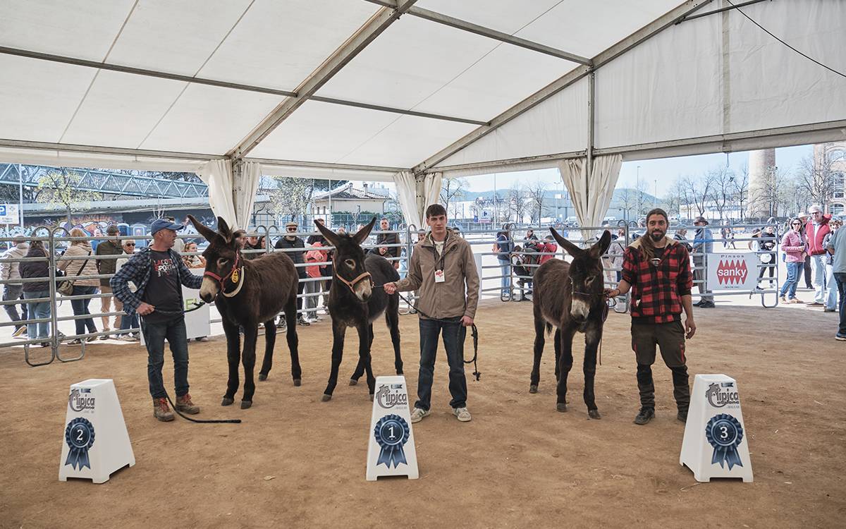 Mercat del Ram de Vic 2026.