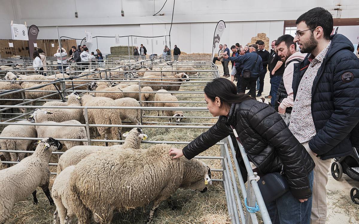 Mercat del Ram de Vic 2026.