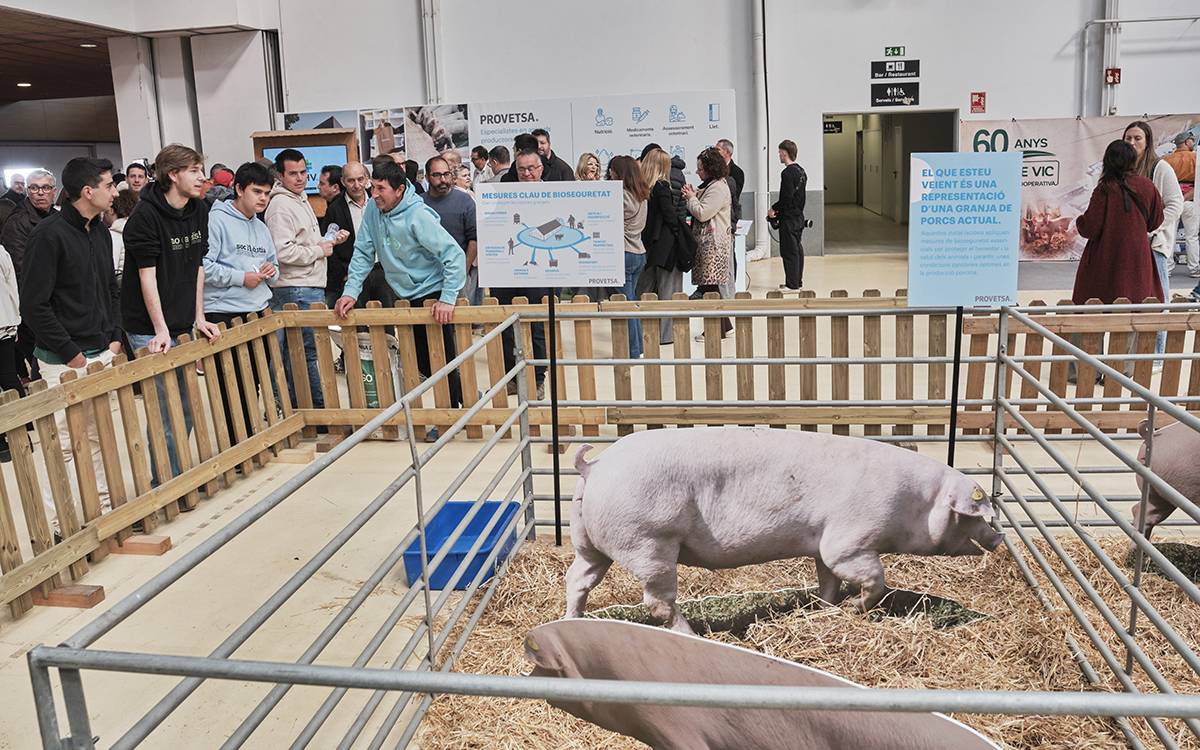 Mercat del Ram de Vic 2026.
