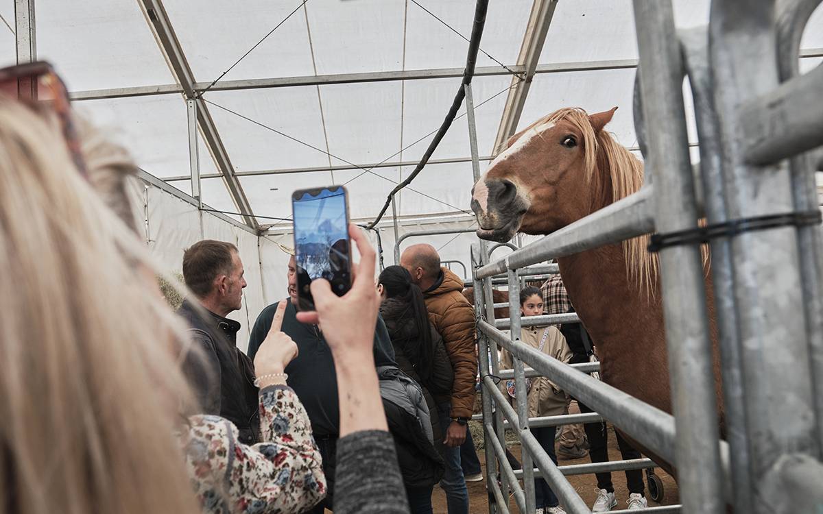 Les millors imatges del Mercat del Ram de Vic 2026