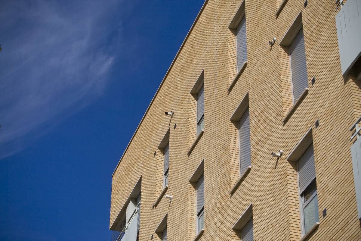 El millor gener en quinze anys