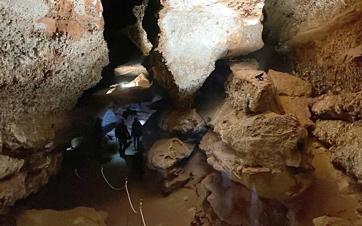 La Cova de Mura reobre les visites guiades després de la hivernació dels ratpenats