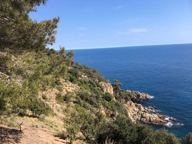 La Costa Brava recupera un camí de ronda després d'anys tancat per obres a la finca d'un expresident del Kazakhstan