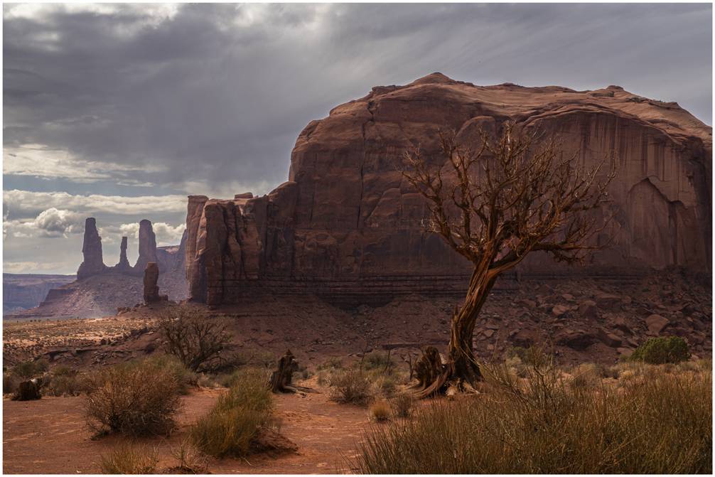 Una de les fotos incloses en la mostra - Carme Torras 
