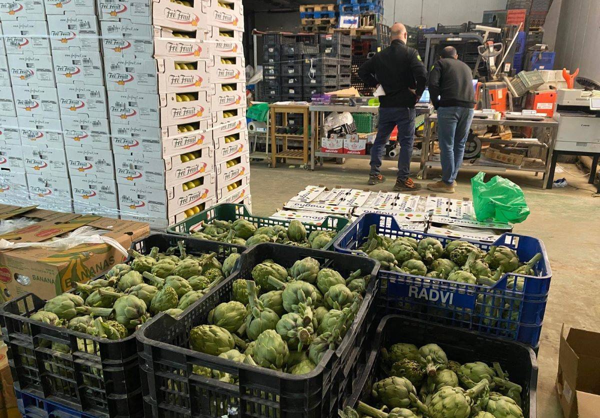 Carxofes per a la distribució comercial, dins les naus.