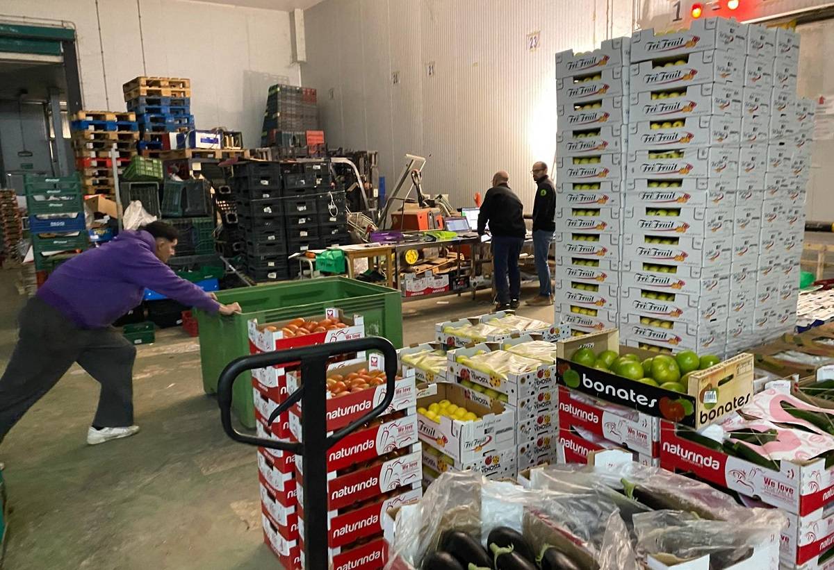 Interior del magatzem llogat per la cooperativa.