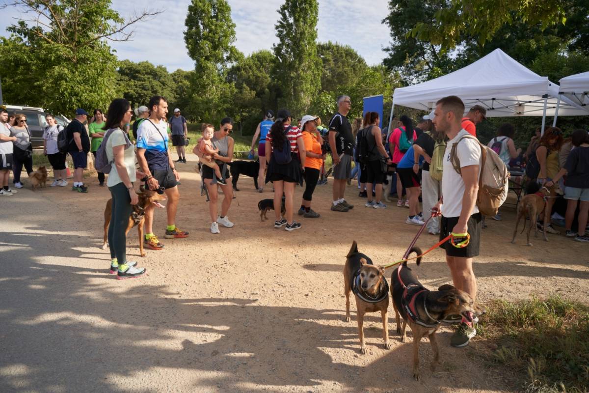 Els animals tornen a conquerir els carrers a Castellar