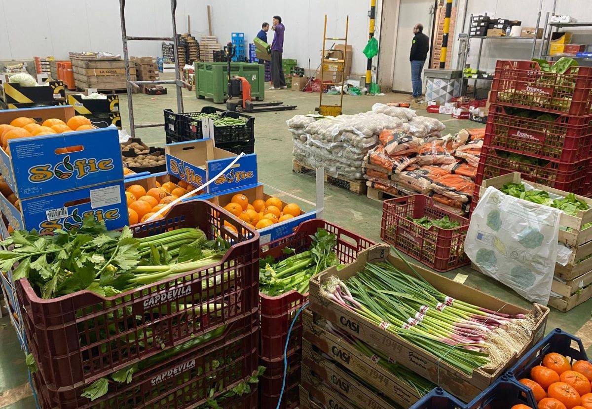 Interior de les càmares frigorífiques. - Aguaita.cat