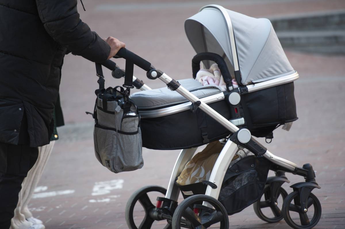 Naixements - ALBERTO TALLÓN