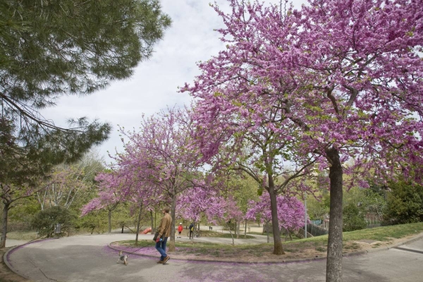 Què visitar a Terrassa segons Google?