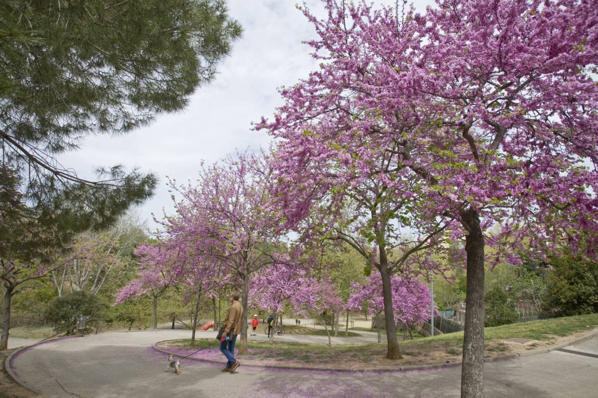 Què visitar a Terrassa segons Google?