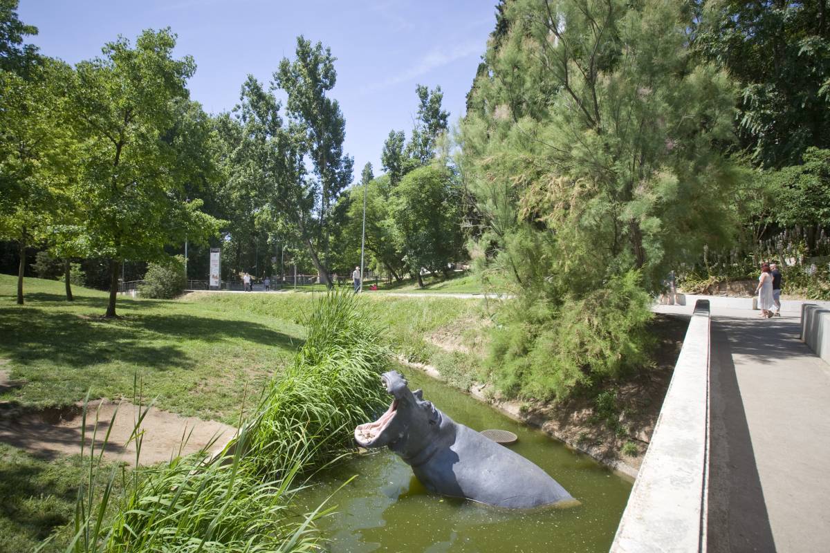 El parc de Vallparadís - Nebridi Aróztegui El parc de Vallparadís