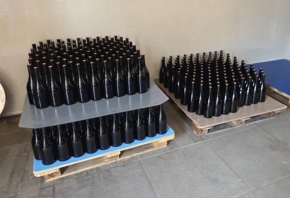 Can Font de Gaià embotella el seu primer Terrassenc 