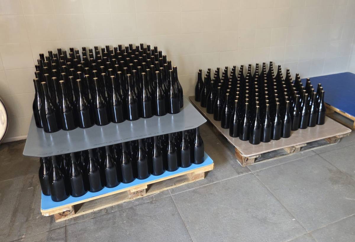 Can Font de Gaià embotella el seu primer Terrassenc 