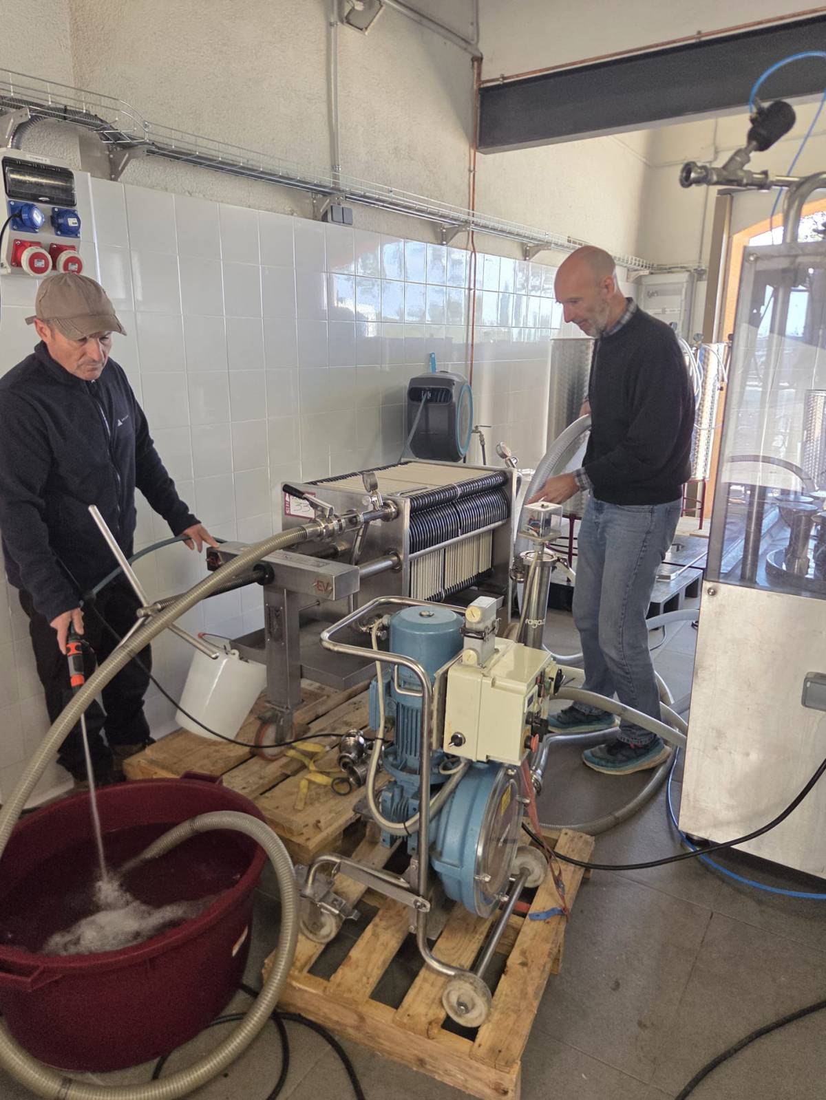 Procés d’embotellament de la varietat Terrassenc - 