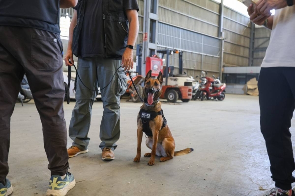 La justícia confirma irregularitats en una plaça de la Unitat Canina de la Policia Municipal de Sabadell