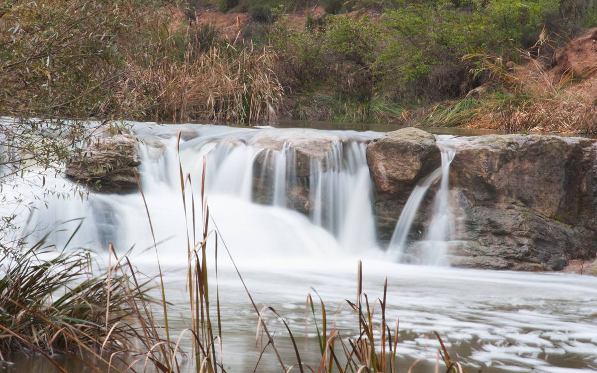 Un abocament de purins a la riera de Guardiola encén l'alerta