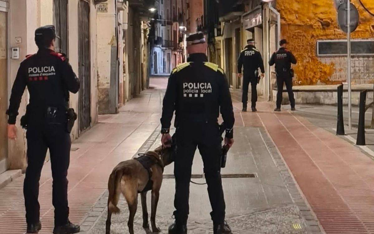 Una dotzena de detinguts i més de 300 persones identificades en un dispositiu policial al centre de Valls
