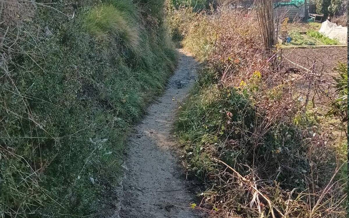 Manresa millora el Camí de les Ínyigues amb obres per reduir riscos de caiguda