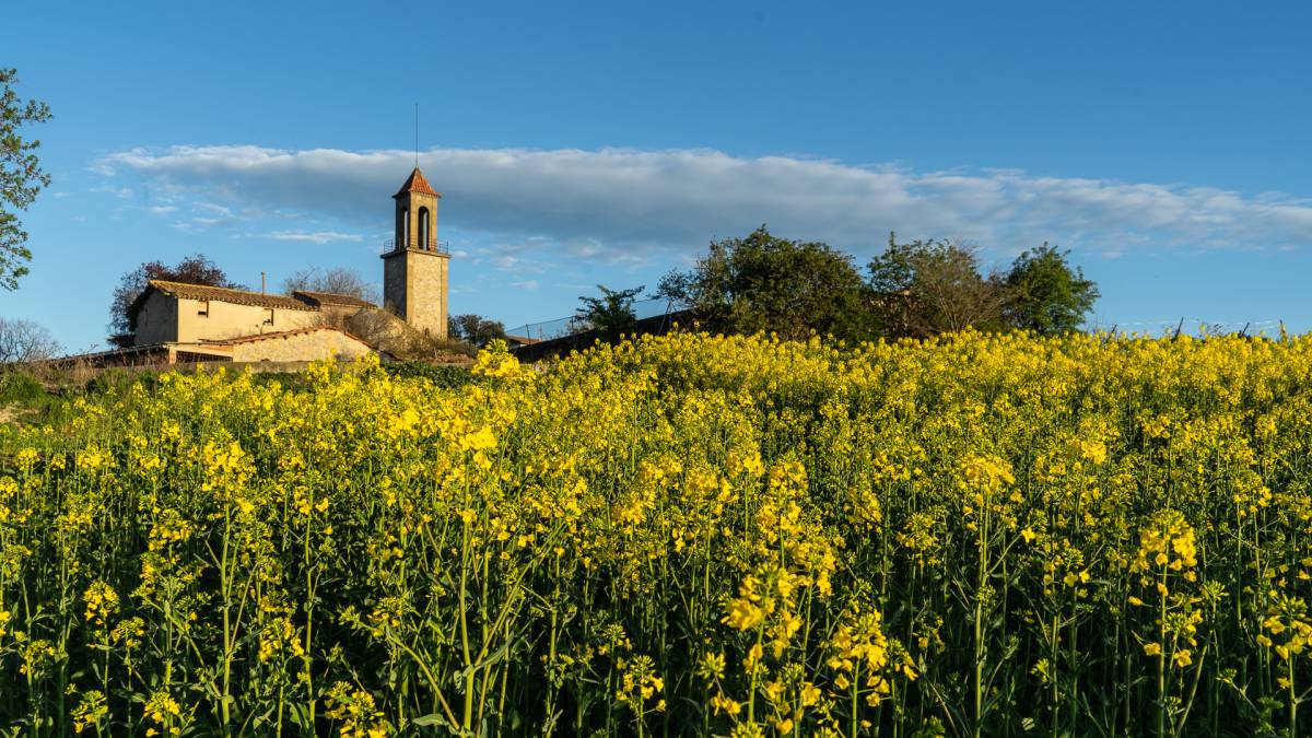 El temps de Setmana Santa: pugen les temperatures i marxa el vent
