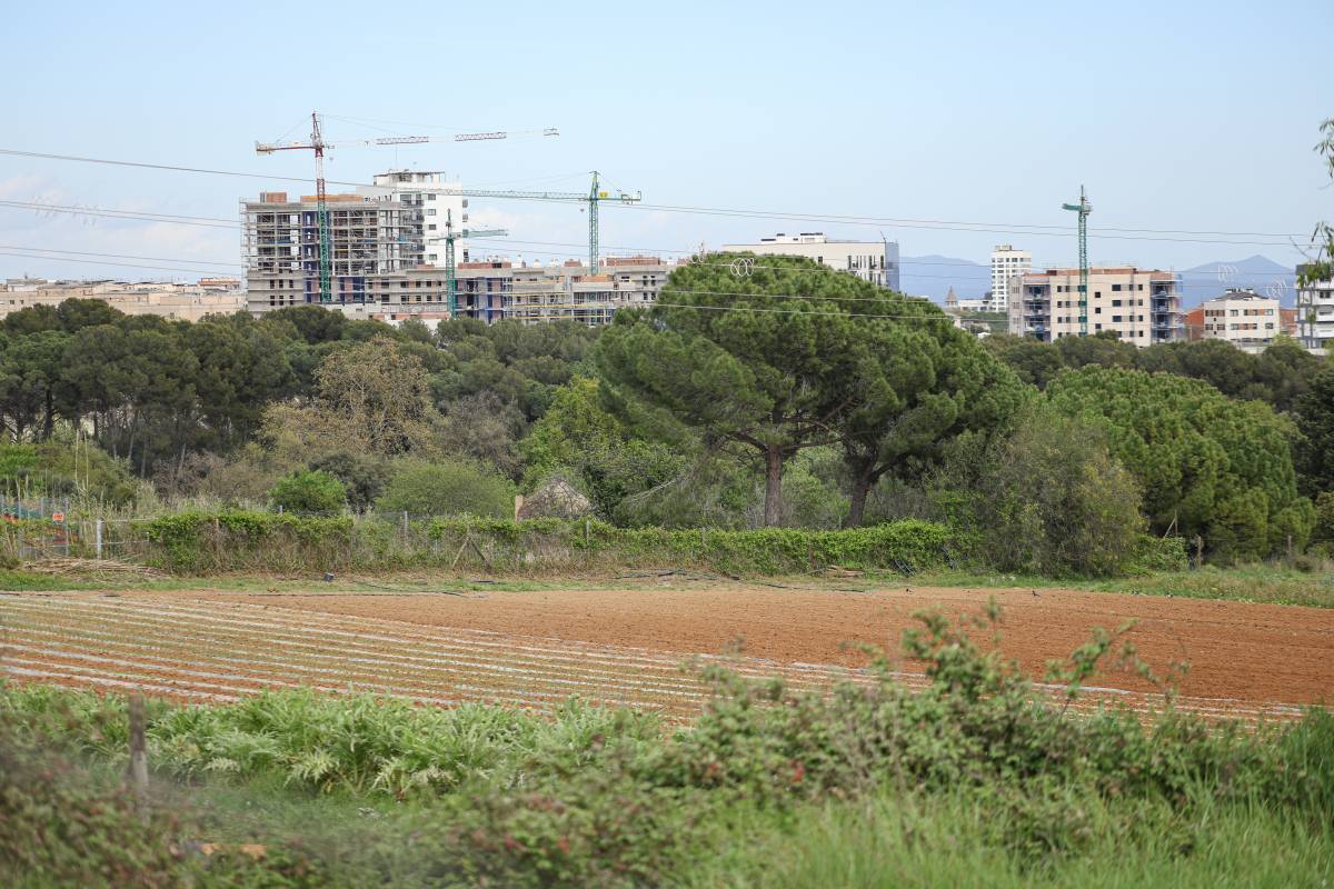 La pèrdua de terreny agrícola, un risc en un context de guerres al món? 