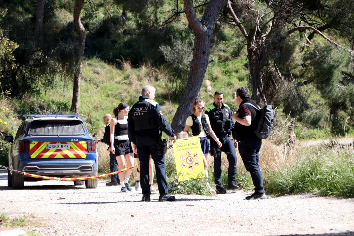 Collserola rep un degoteig constant de visitants pel pont tot i les restriccions per la PPA
