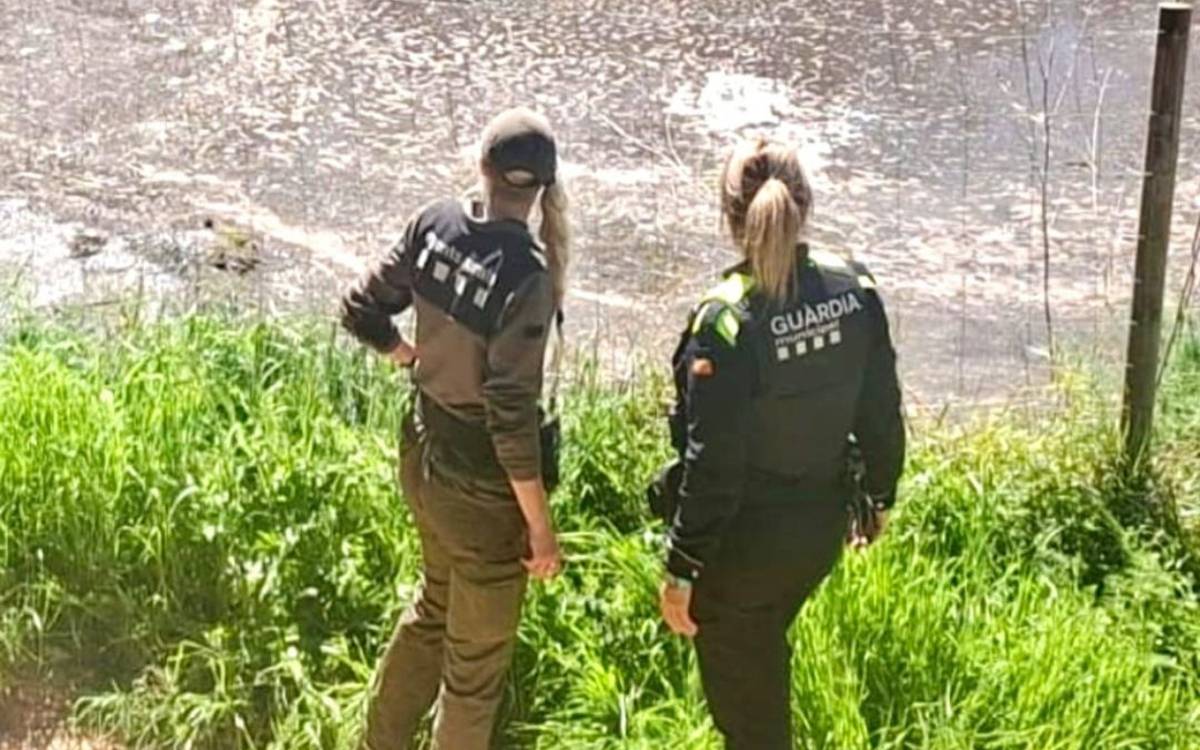 Un abocament de purins a la riera de Guardiola encén l'alerta