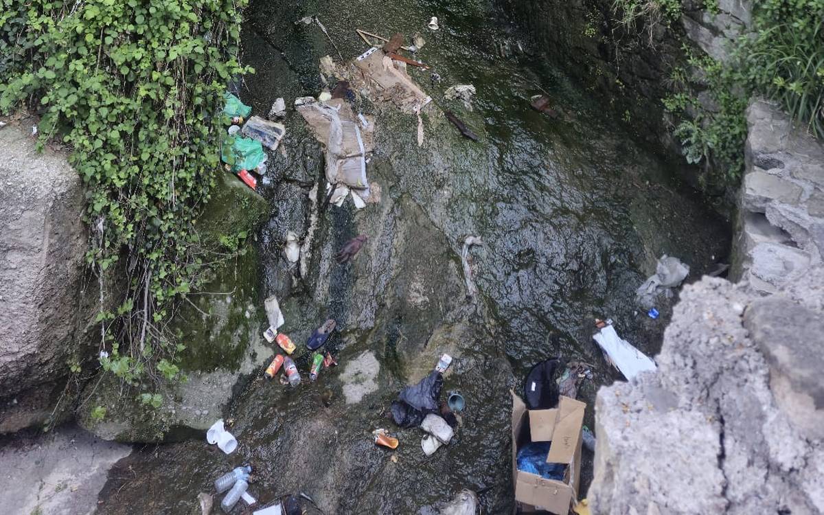 Veïns denuncien brutícia i manca de manteniment a la ruta del Salt de la Creu del Tort