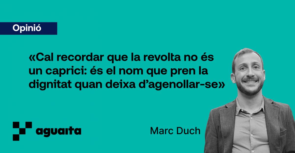 El dret de revolució
