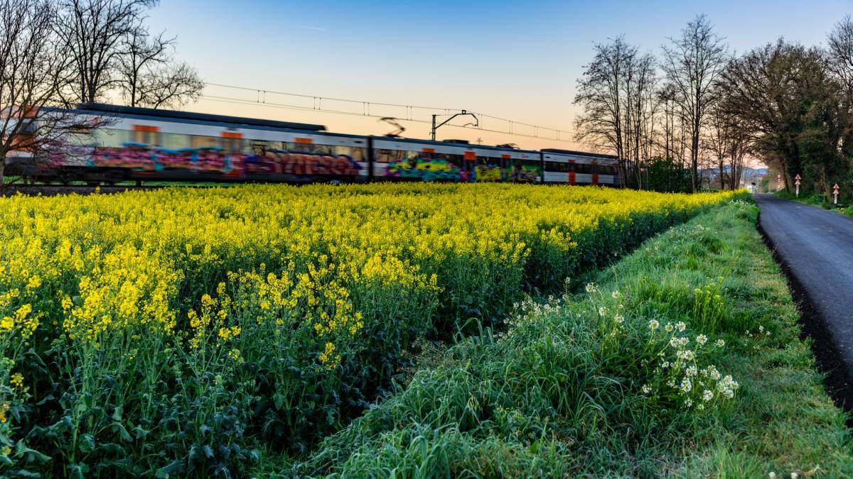 El temps de dimecres: cels assolellats i temperatures altes poc habituals
