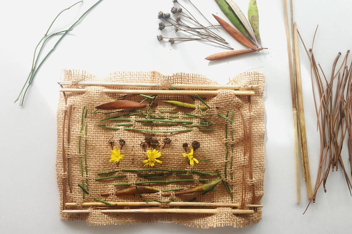 Un tapís de primavera a Terrassa