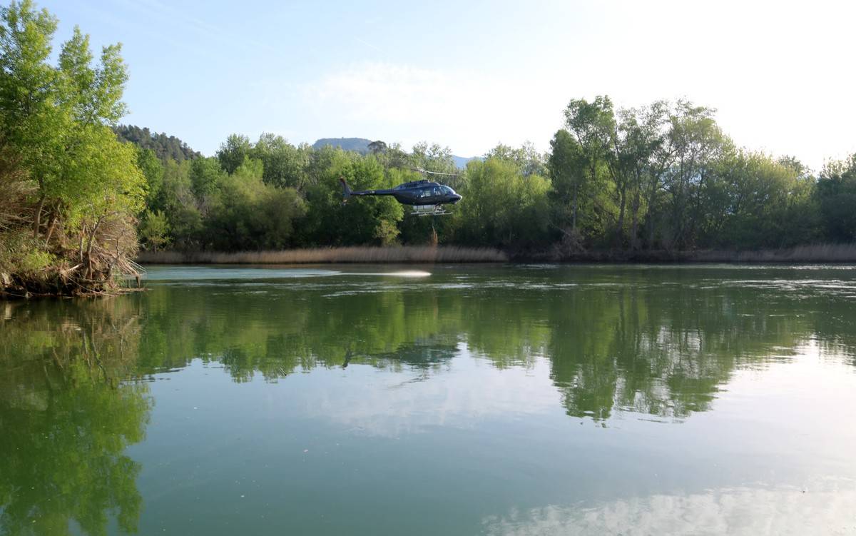 Comença la campanya contra la mosca negra a l'Ebre condicionada pel cabal del riu