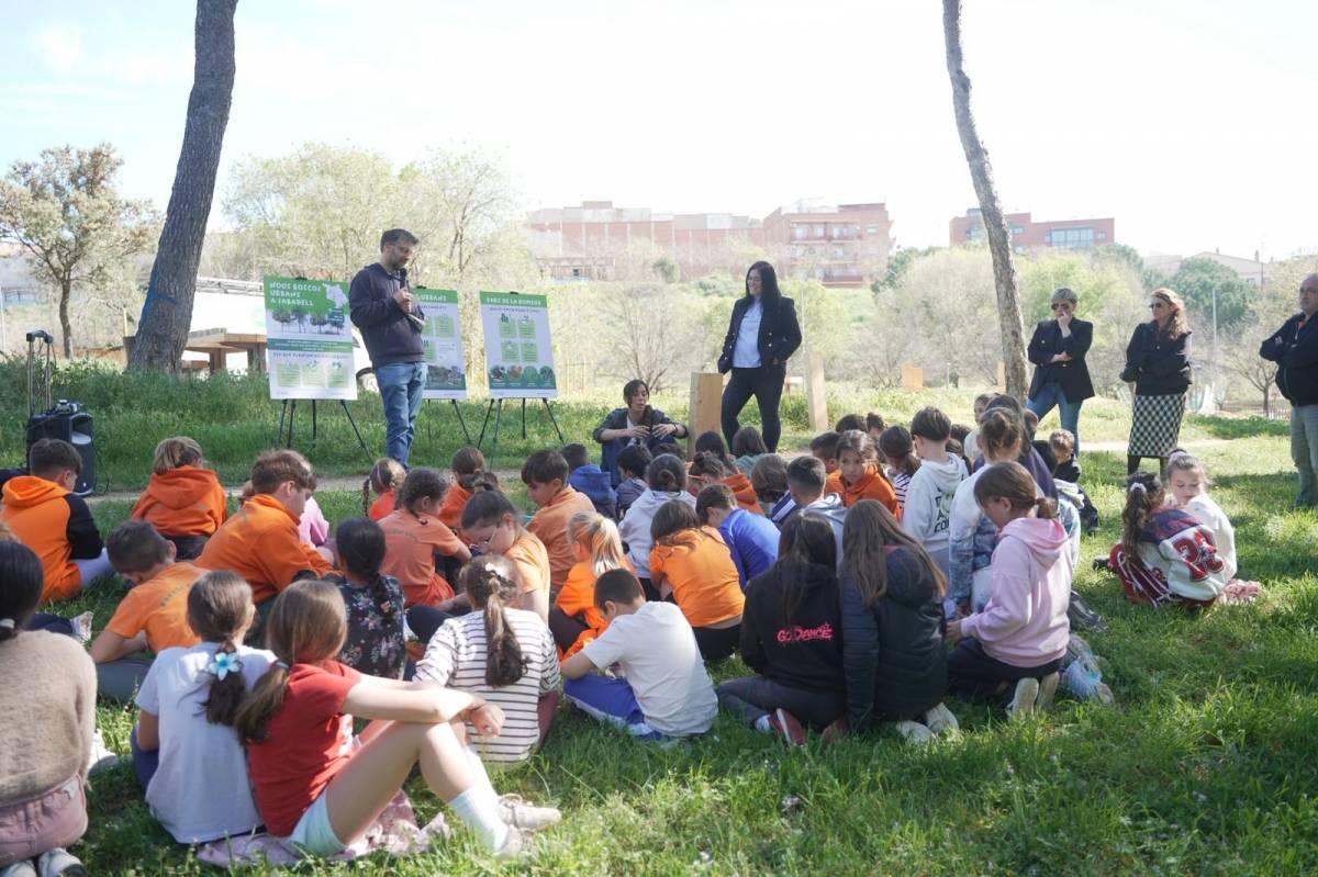 Plantació d'arbres al parc de la Romeua - David Chao
