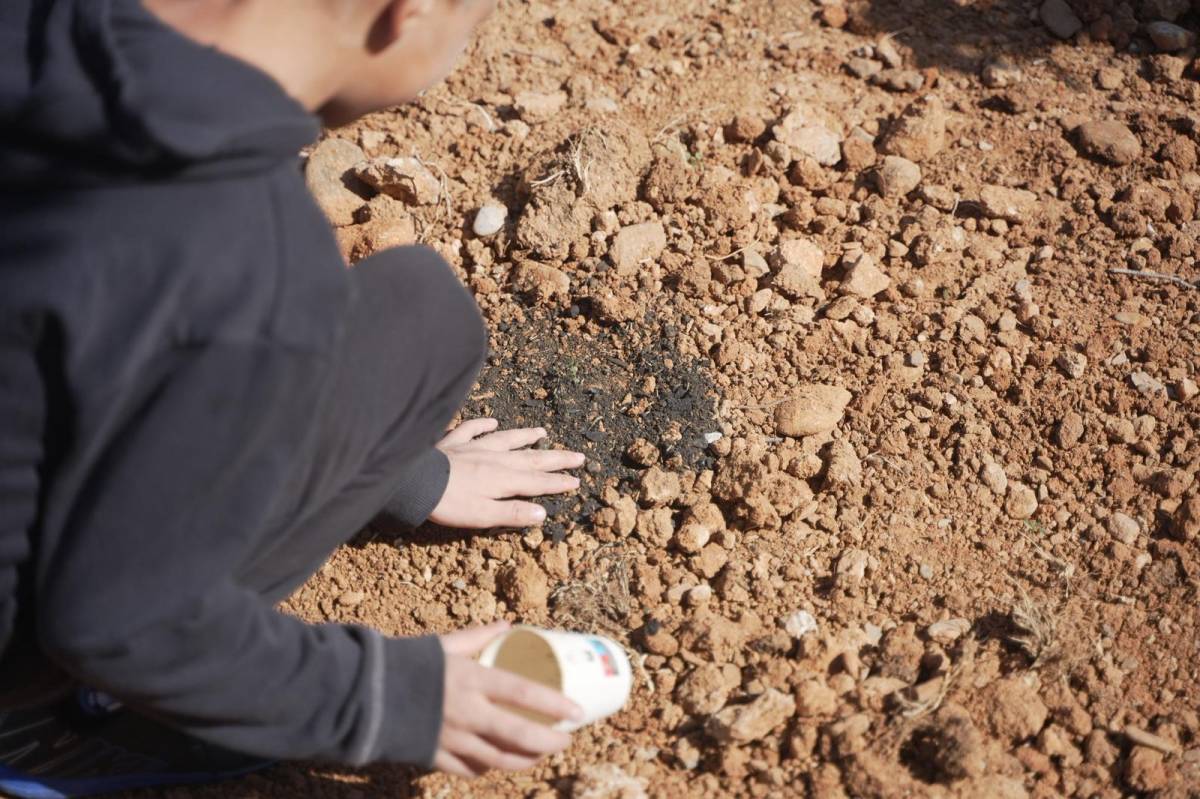 Plantació d'arbres al parc de la Romeua - David Chao