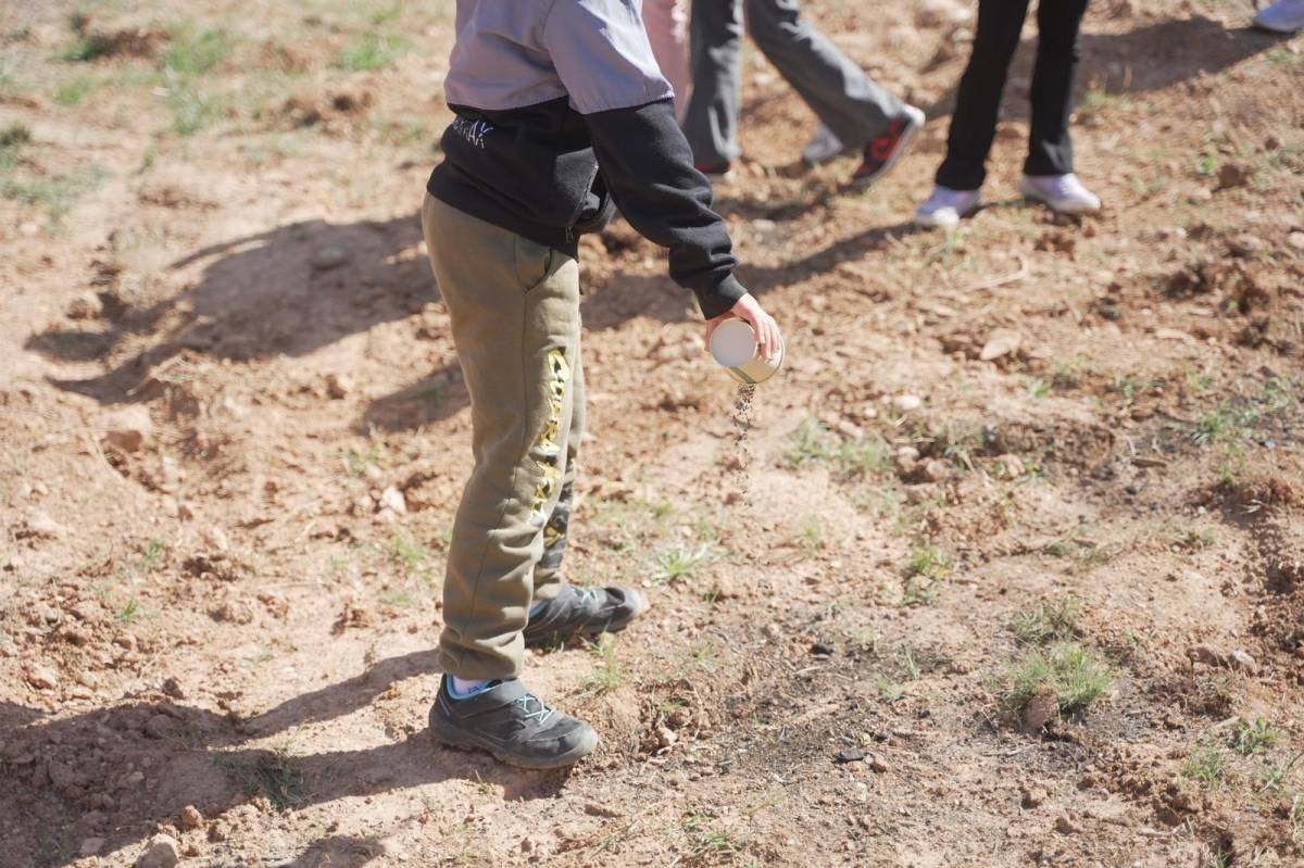 Plantació d'arbres al parc de la Romeua - David Chao