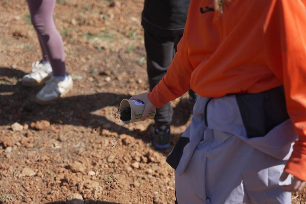 Plantació d'arbres al parc de la Romeua - David Chao