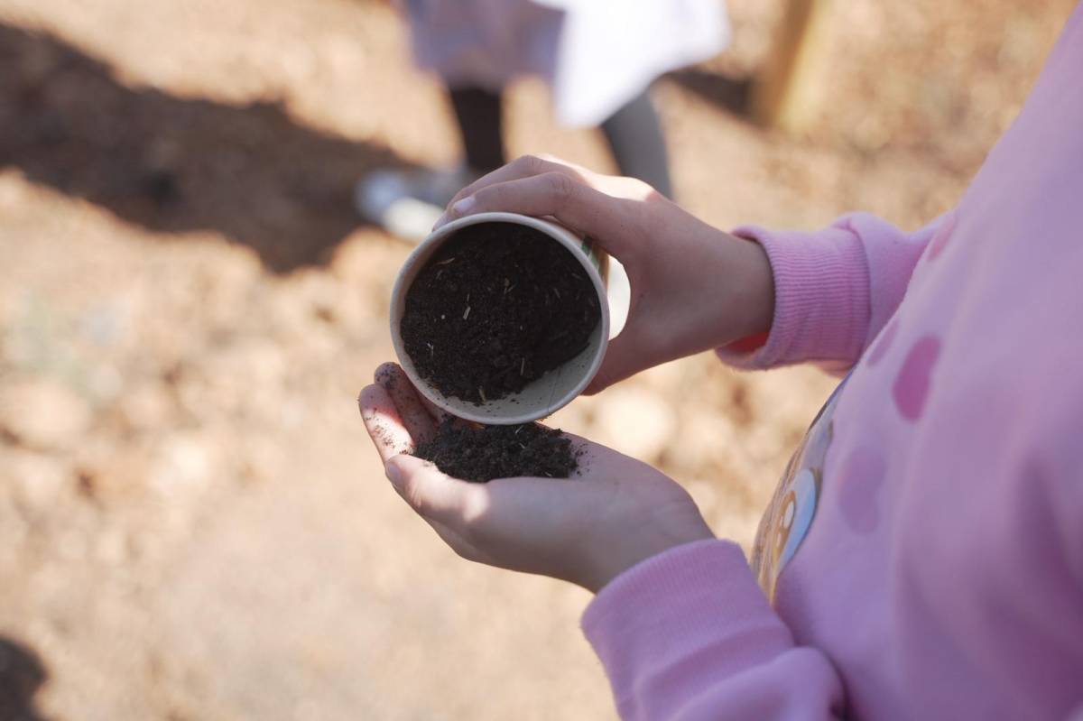 Plantació d'arbres al parc de la Romeua - David Chao