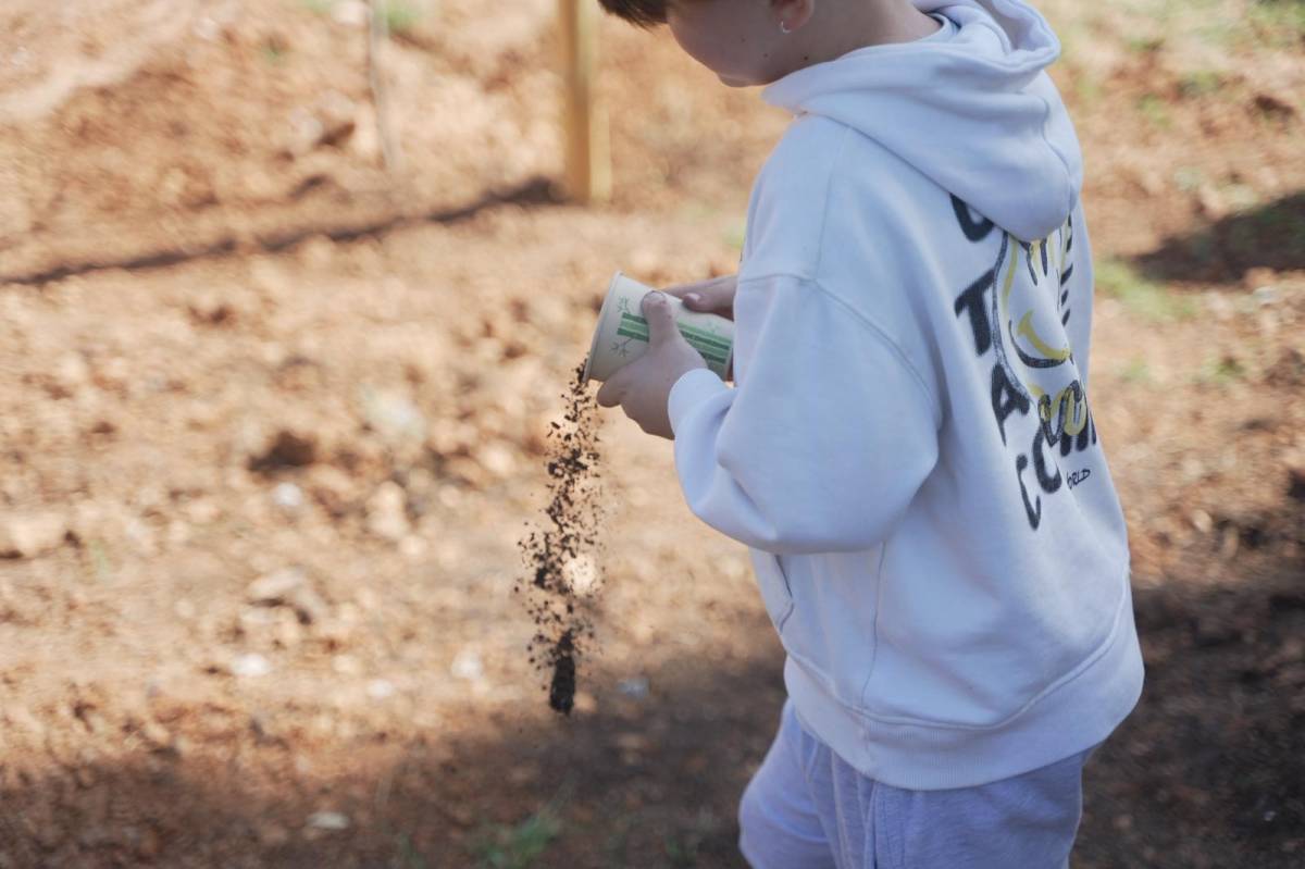 Plantació d'arbres al parc de la Romeua - David Chao