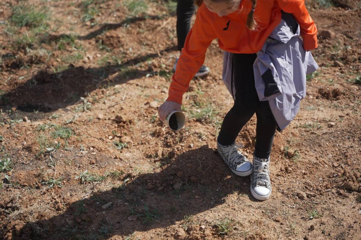 Plantació d'arbres al parc de la Romeua - David Chao