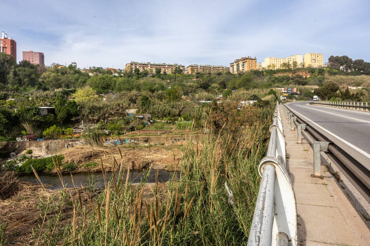 Obres en el tram del Ripoll al seu pas per Barberà