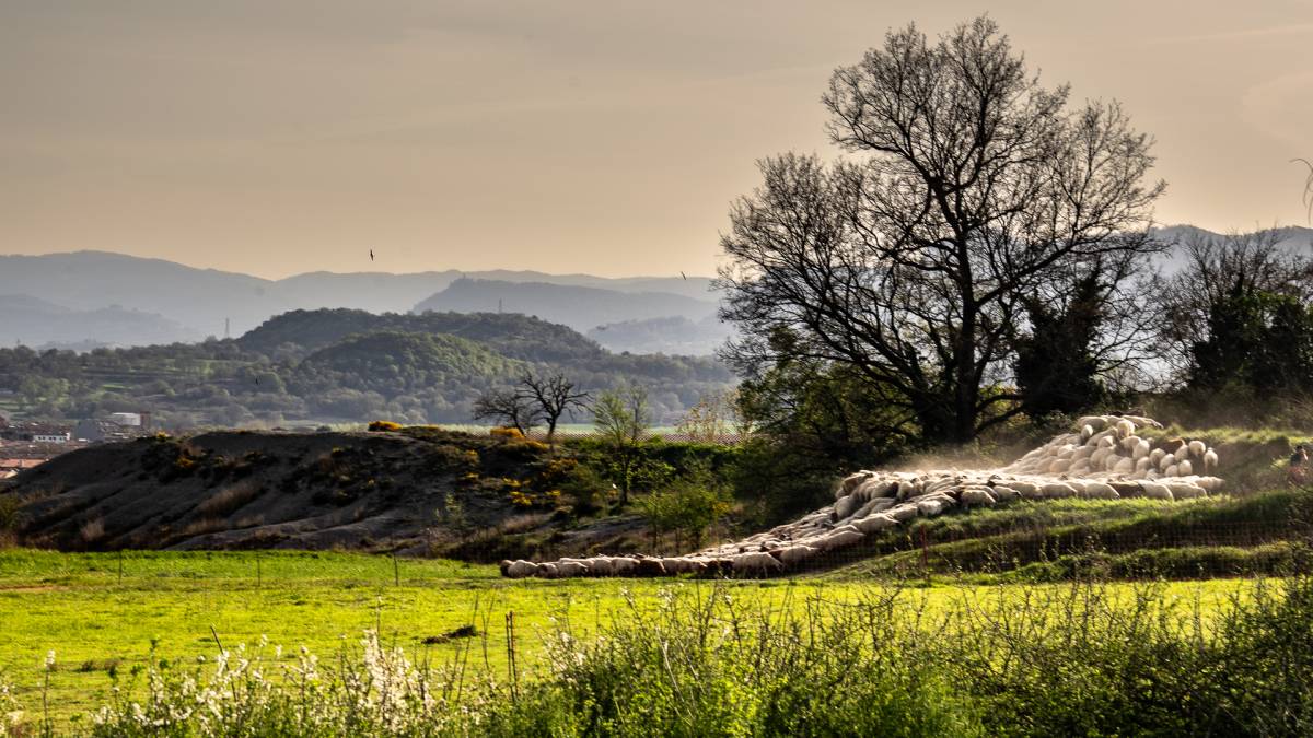 El temps d'aquest divendres: continua la calor després de superar els 30 graus a Catalunya