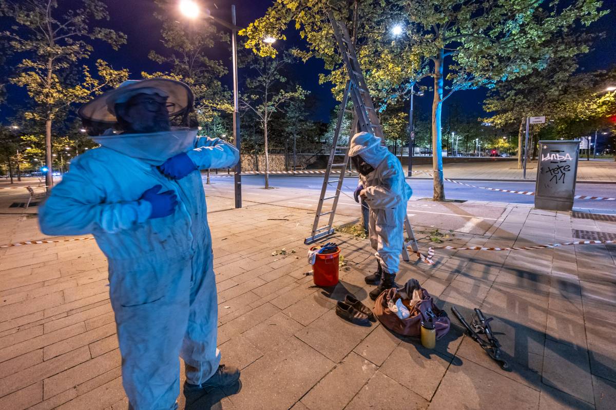 Retiren un eixam d’abelles a Can Gambús  - JUANMA PELÁEZ