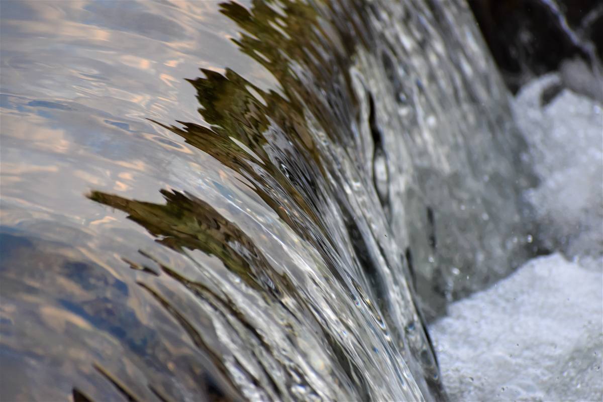 Qui és el culpable de la contaminació de l'aigua? Els microorganismes fecals ens ho diuen